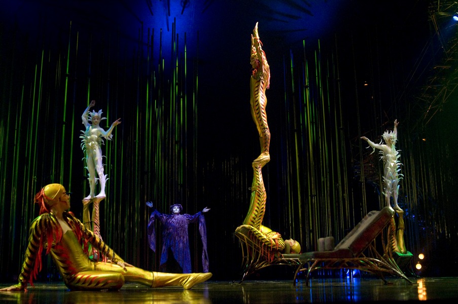 Show Varekai by Cirque Du Soleil