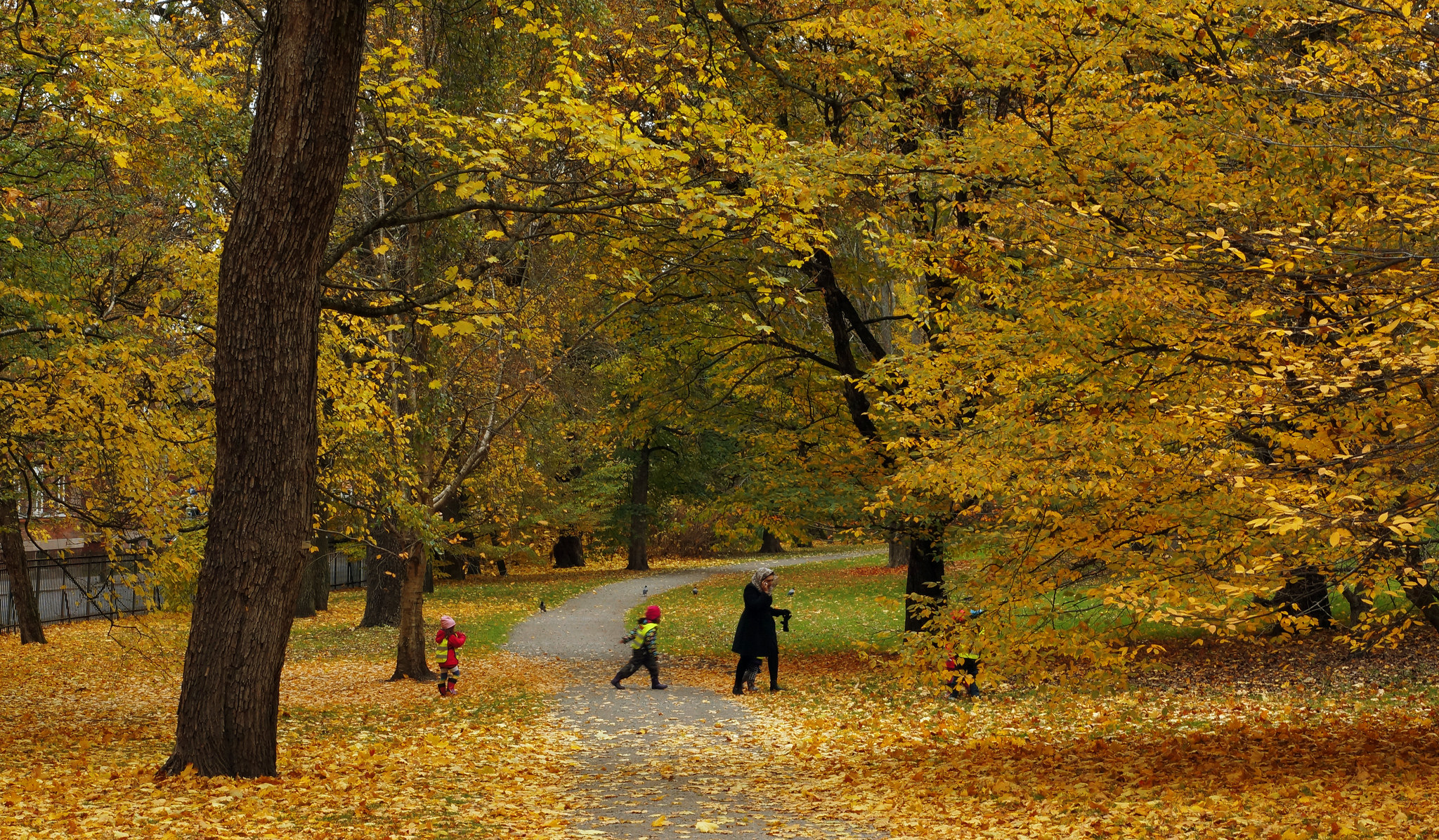 Park in Oslo