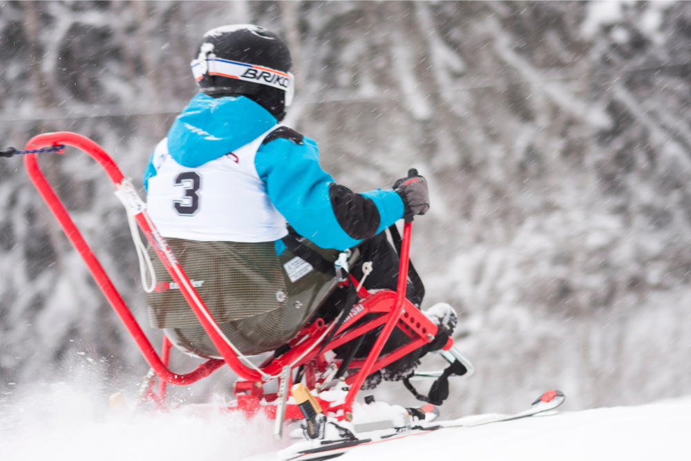 ski