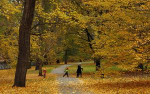 Thumbnail for Top 3 Public Parks in Oslo