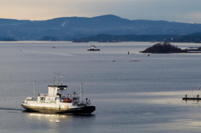 Fjord Sightseeing Cruise