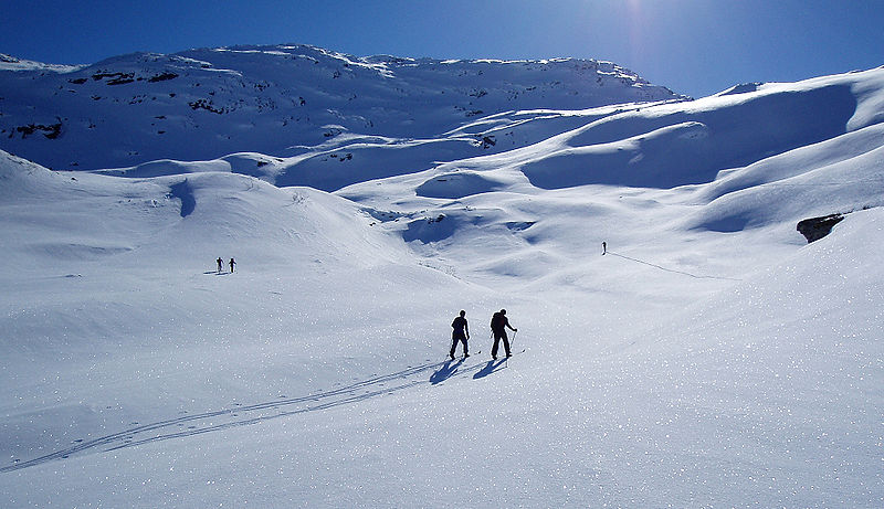 Skiing