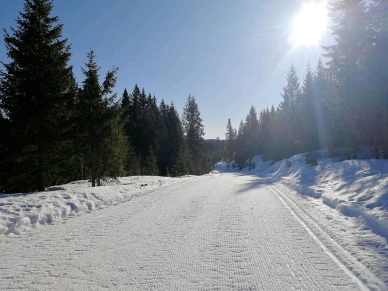 Skiforeningen