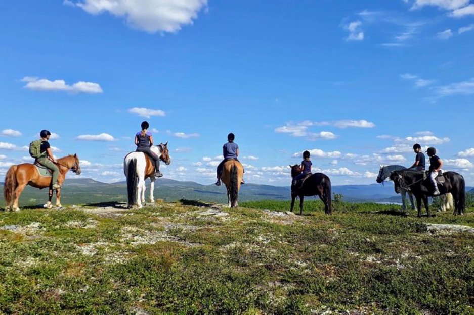 Horse trekking in Oslo