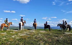 Thumbnail for Enjoy an Incredible Horse Trekking Adventure in Oslo