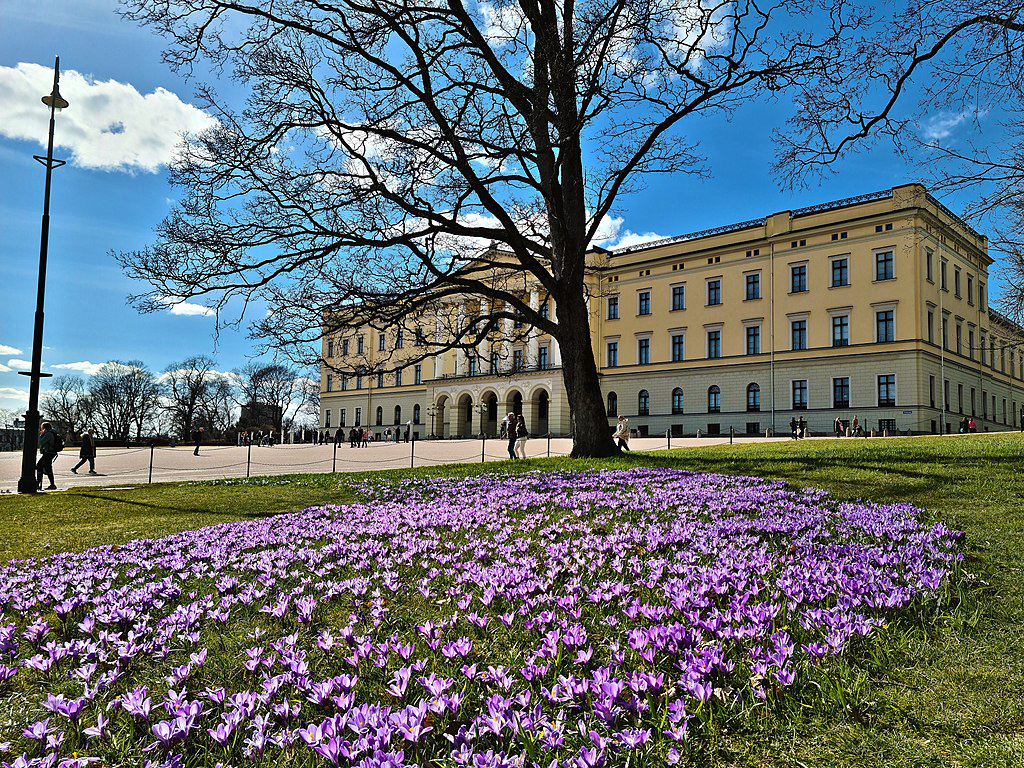 The Royal Palace