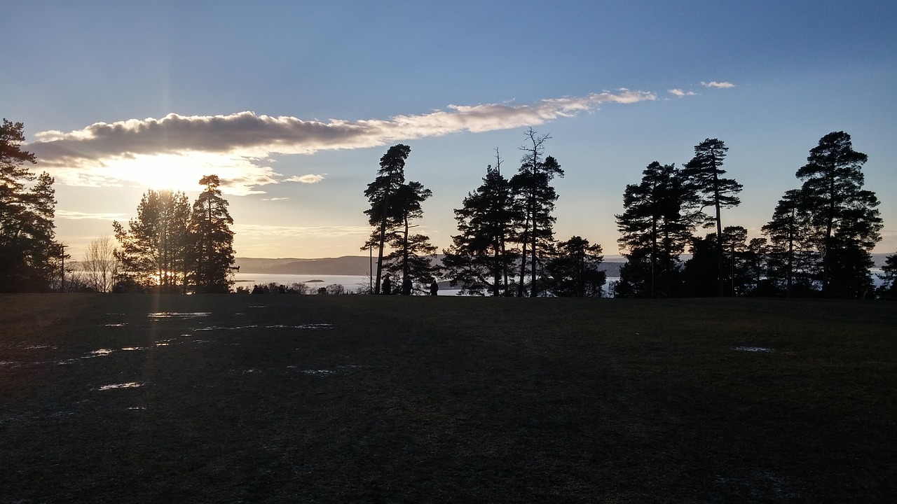 Ekeberg forest