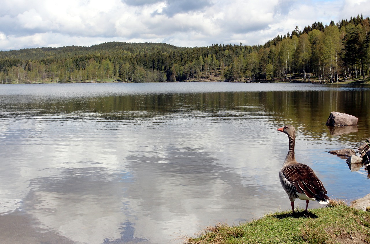 Nordmarka, Oslo