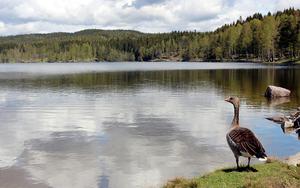 Thumbnail for 5 Springtime Activities to Do in Oslo