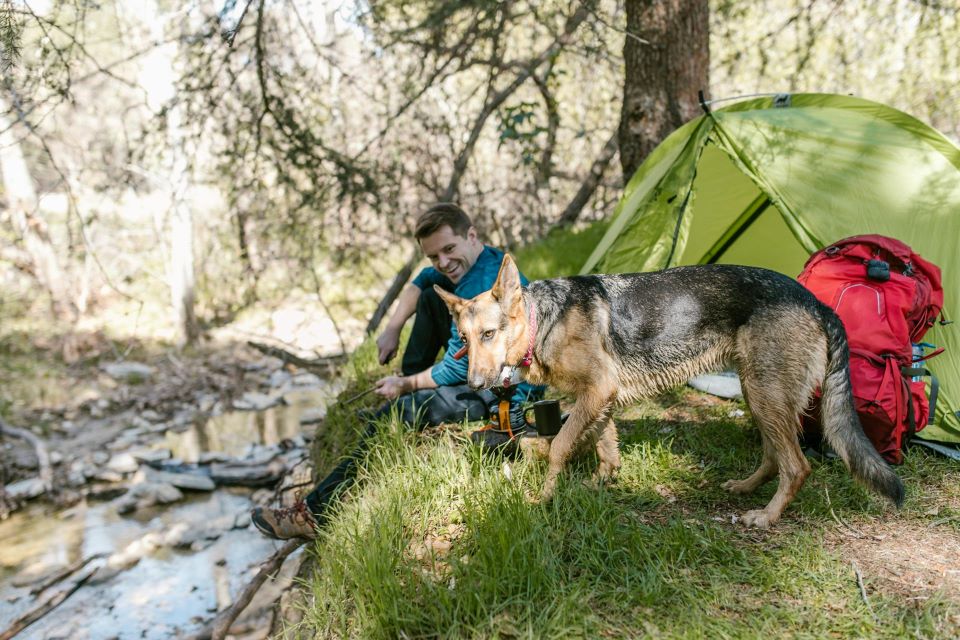 Man Sitting Beside German Shepherd near Body of Water